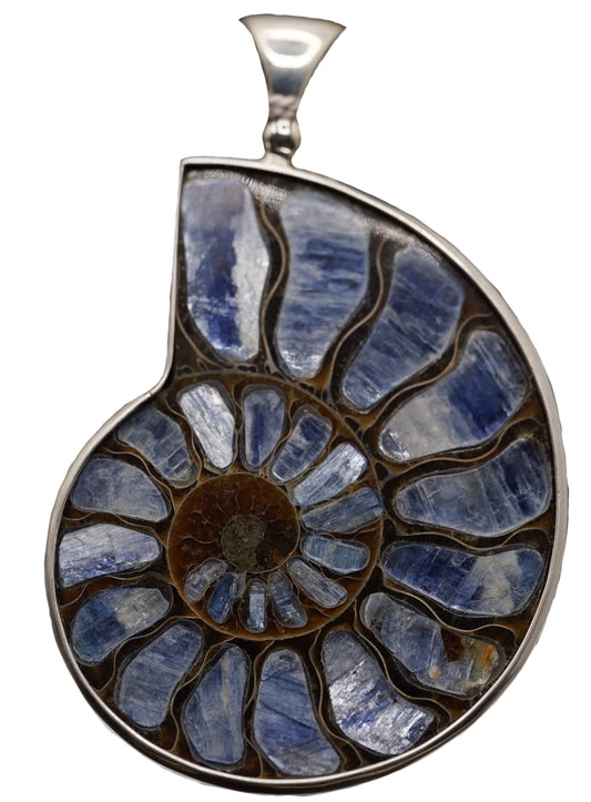 Kyanite Inlayed Ammonite Large Pendant