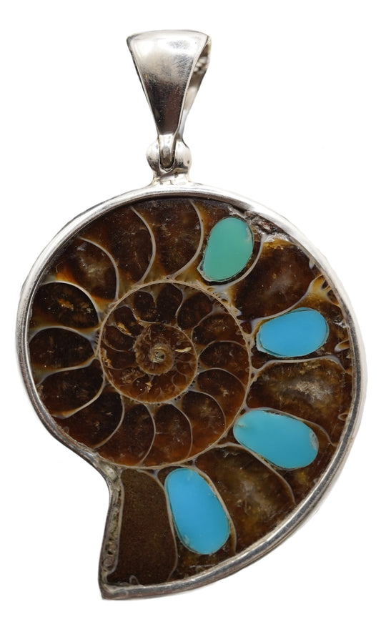 Turquoise Inlayed Ammonite Pendant