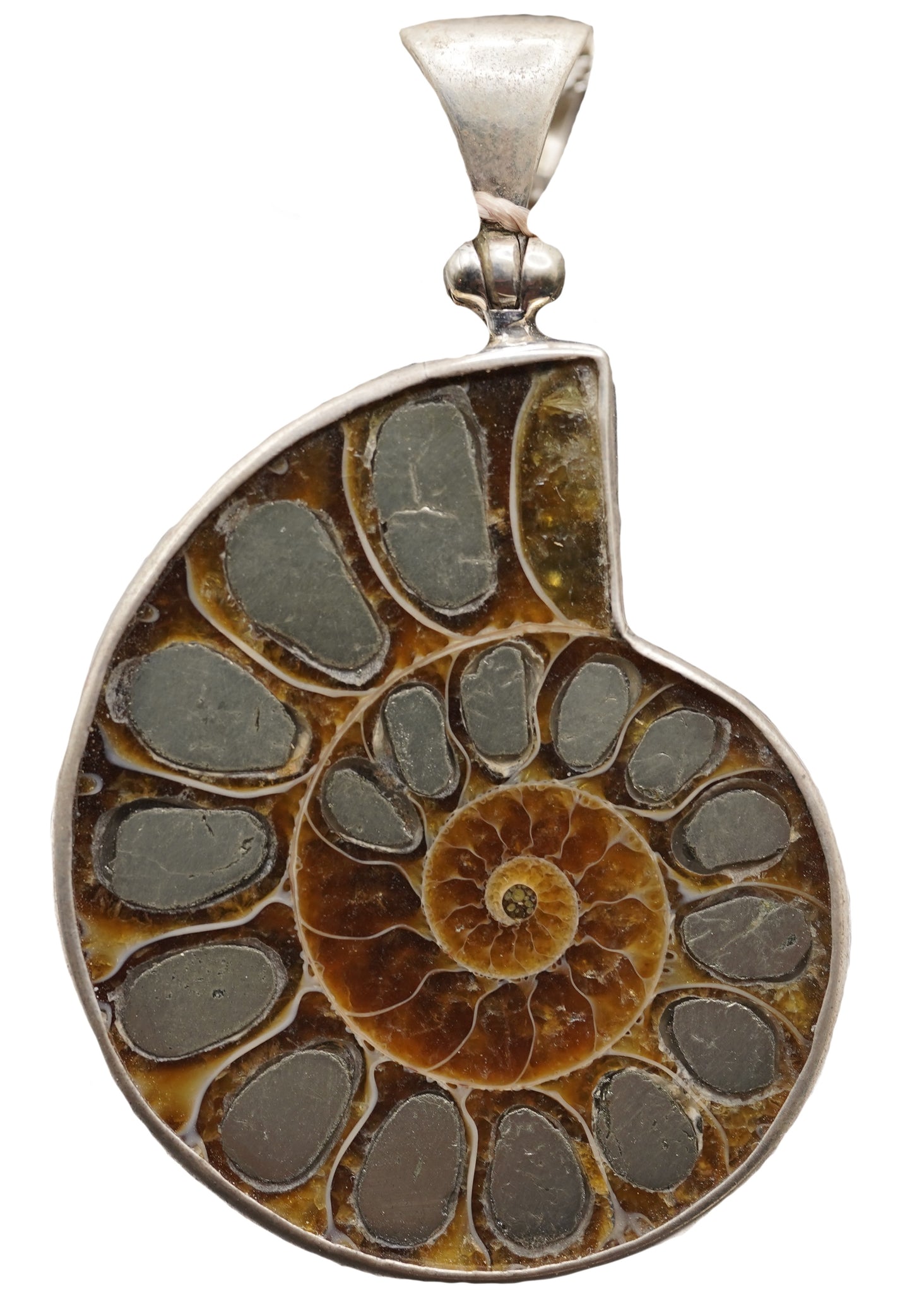 Pyrite Inlayed Ammonite Pendant