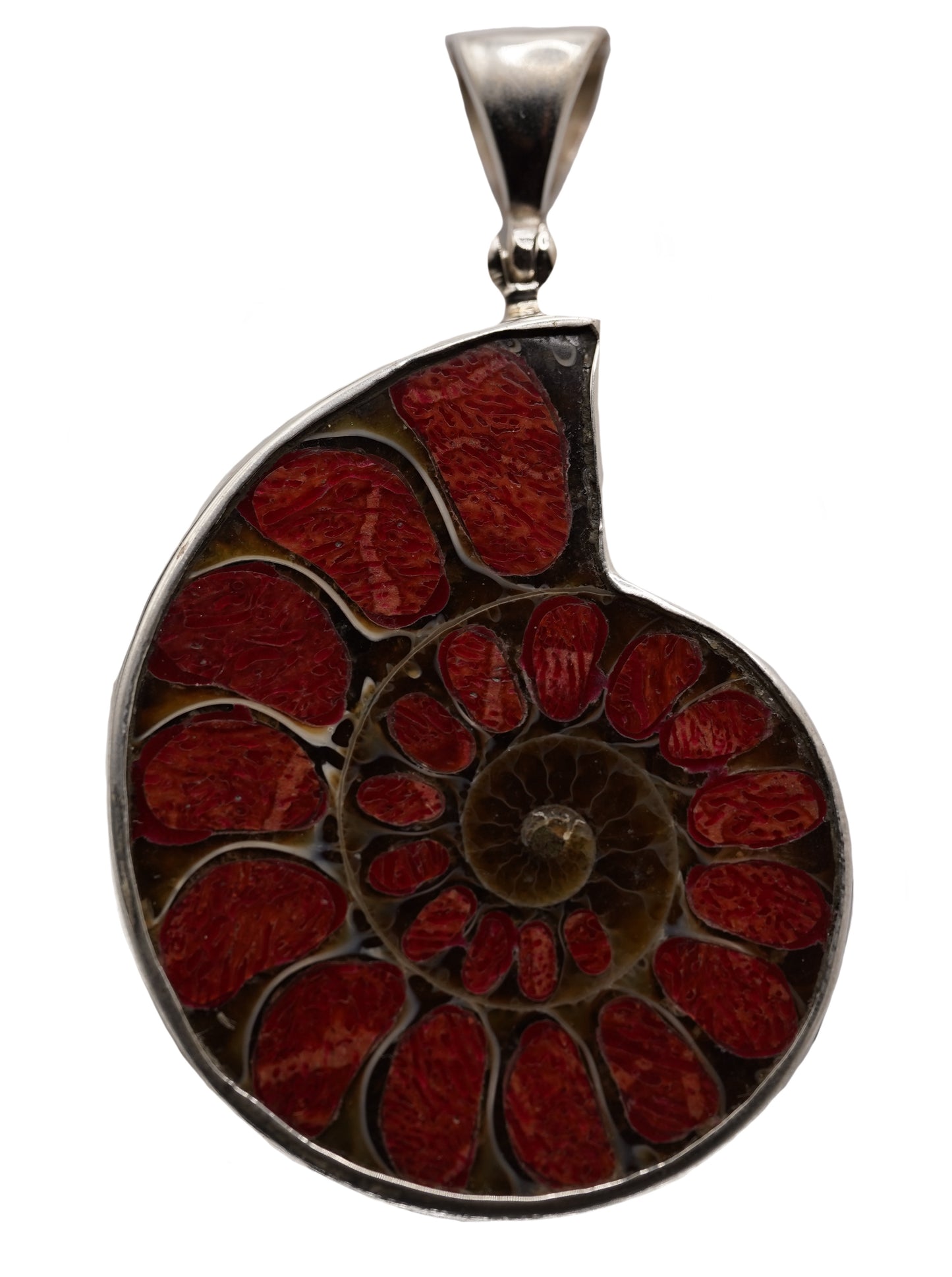 Red Coral Inlayed Ammonite Pendant