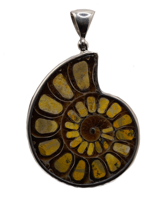 Bumble Bee Jasper  Inlayed Ammonite Pendant